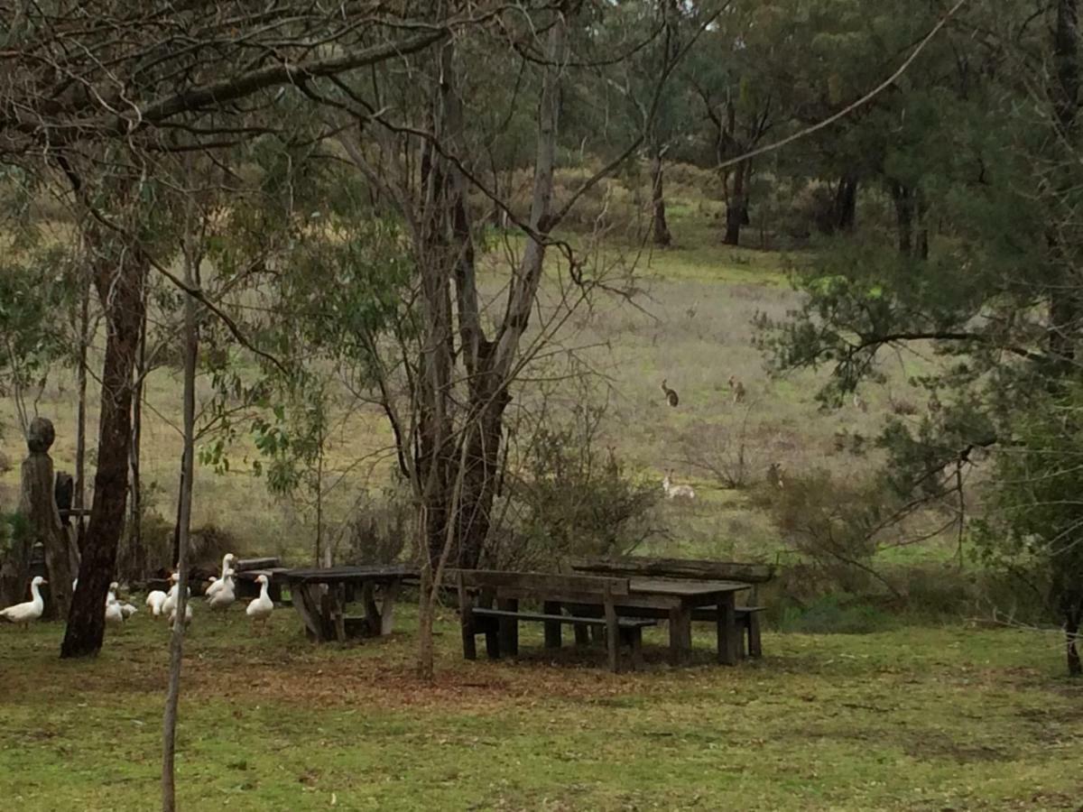 Wildwood Guesthouse Mudgee Exteriör bild