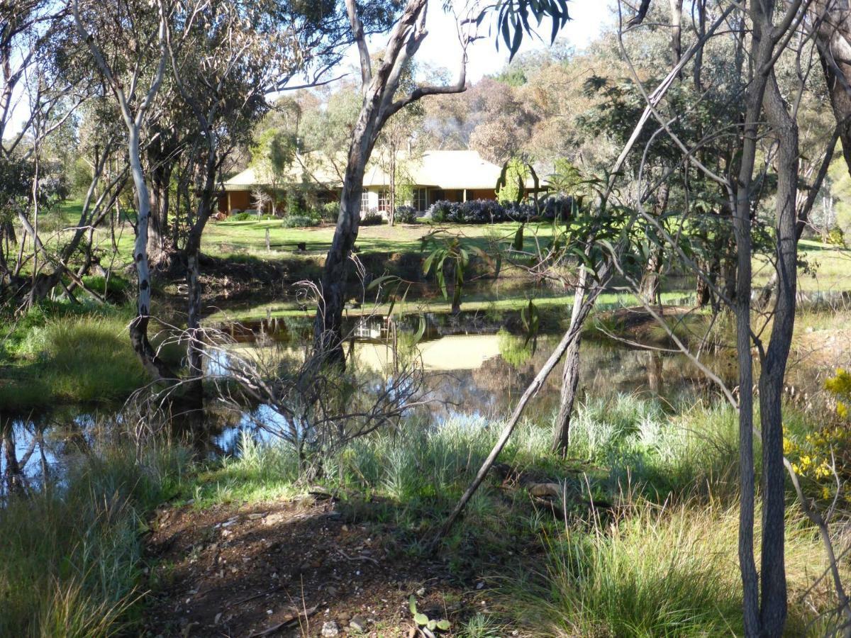 Wildwood Guesthouse Mudgee Exteriör bild