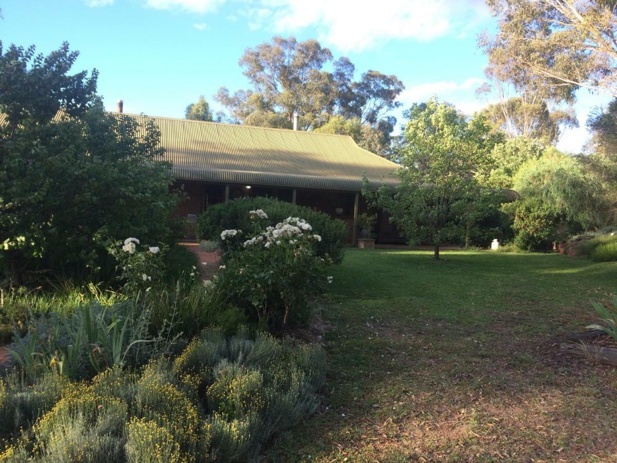 Wildwood Guesthouse Mudgee Exteriör bild